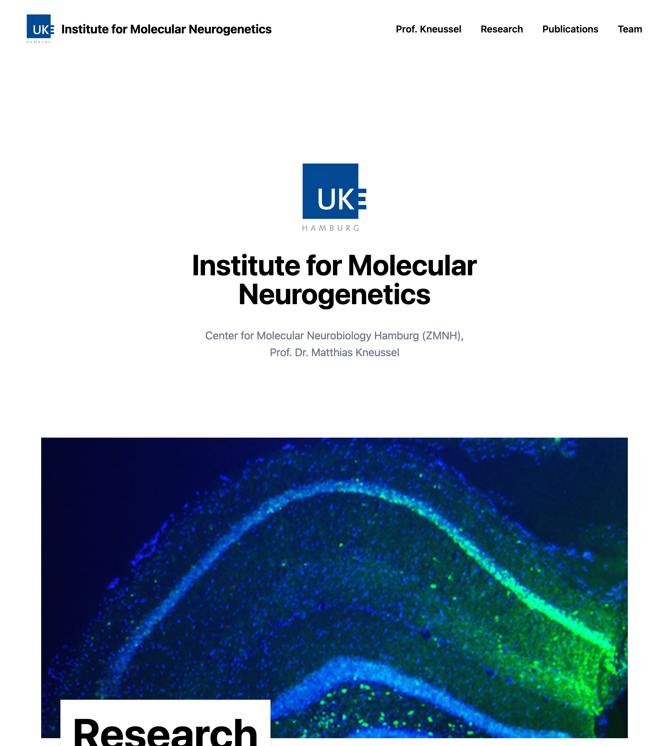 Website von Institute for Molecular Neurogenetics